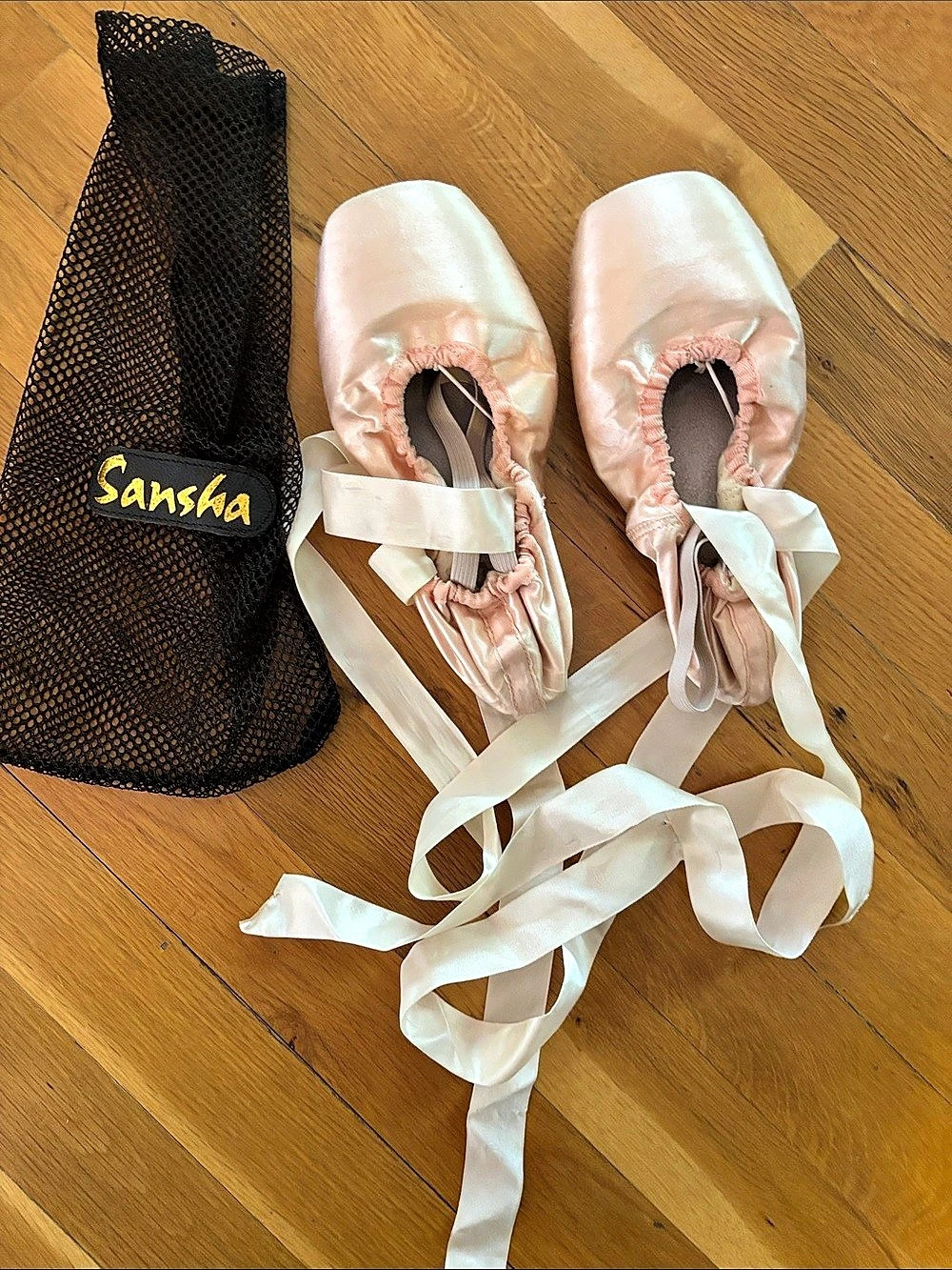 Sansha Ballet Shoes in Pink